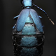 Imagen para el artículo titulado Fotografías macroscópicas tan nítidas que parecen irreales